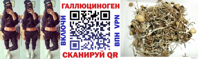 дарнет шоп  Мамадыш  hydra сайт  Псилоцибиновые грибы мухоморы 
